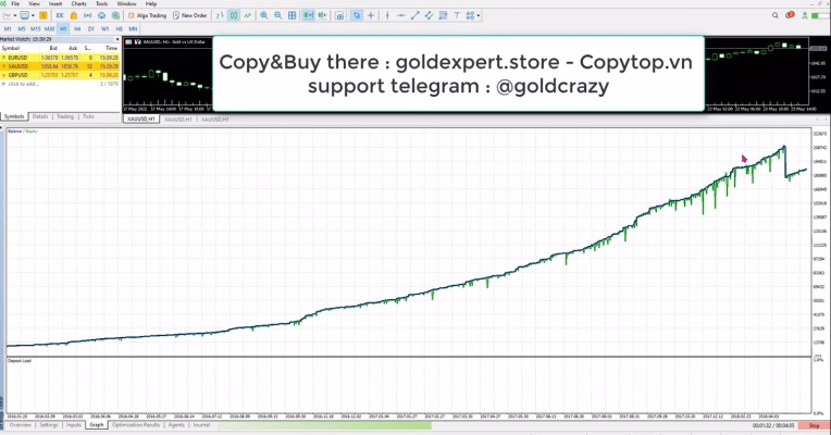 Nika Gold – Gold EA MT5 Backtest Equity Curve Performance