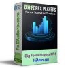 Big Forex Players MT4