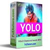YOLO Diamond hands MT4