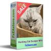 Hunting Cat Scalper MT4
