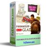 PARAMOUR GLADIATOR EA MT4