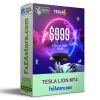 TESLA LION MT4