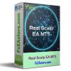 Real Scalp EA MT5
