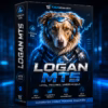 Logan MT5