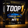 TOOP1 Swing MT5